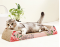 Cat Scratching Board and Corrugated Cat House
